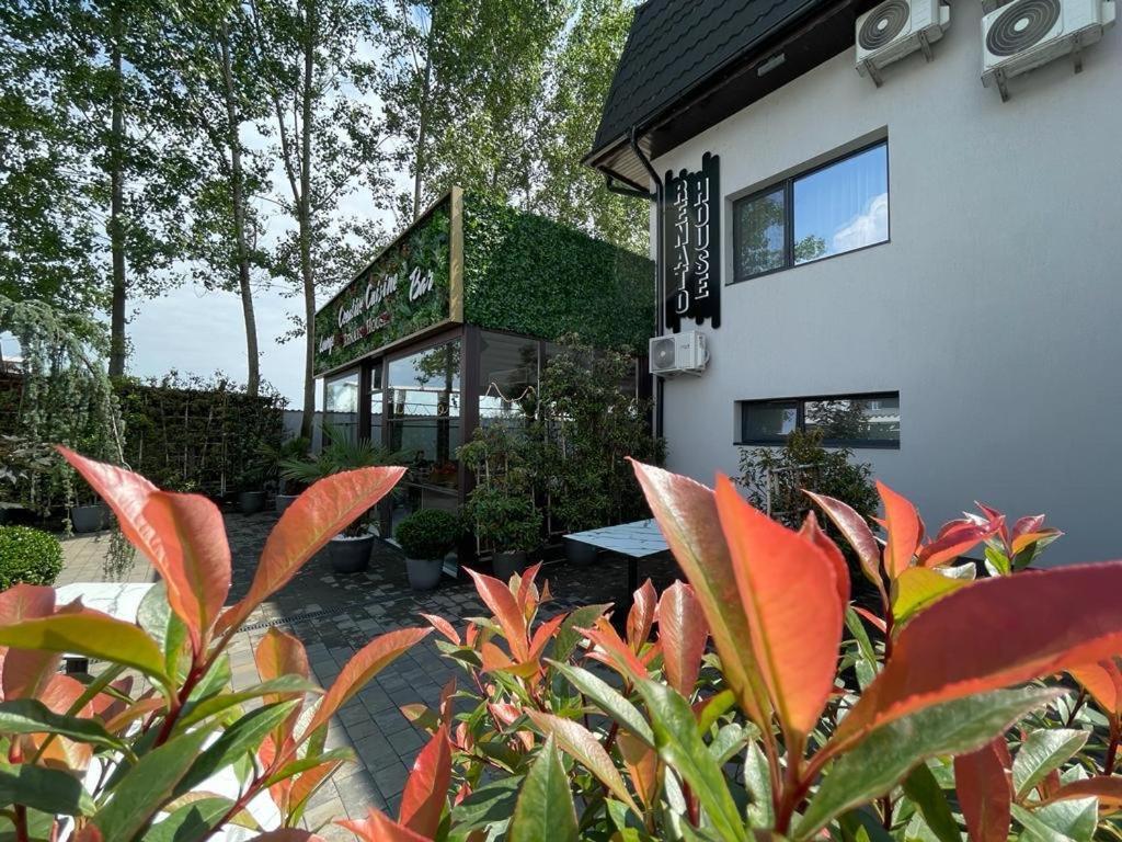 Renato House 호텔 Târgu Jiu 외부 사진